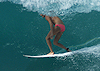 (December 15, 2010) North Shore - Surf Album 12 / Pipeline Masters